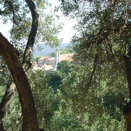 Costa Di Sognu Villa Dış mekan fotoğraf