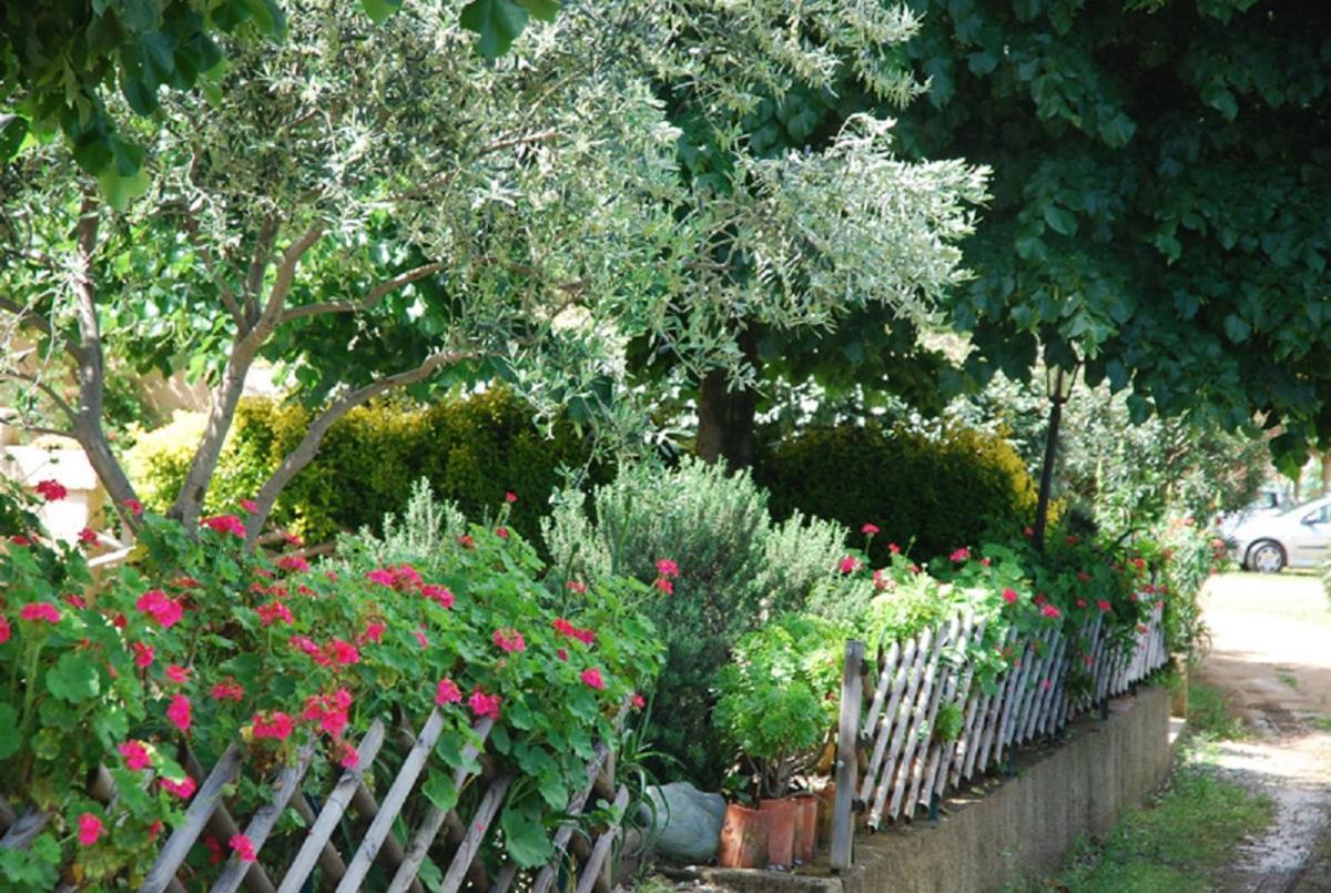 Costa Di Sognu Villa Dış mekan fotoğraf