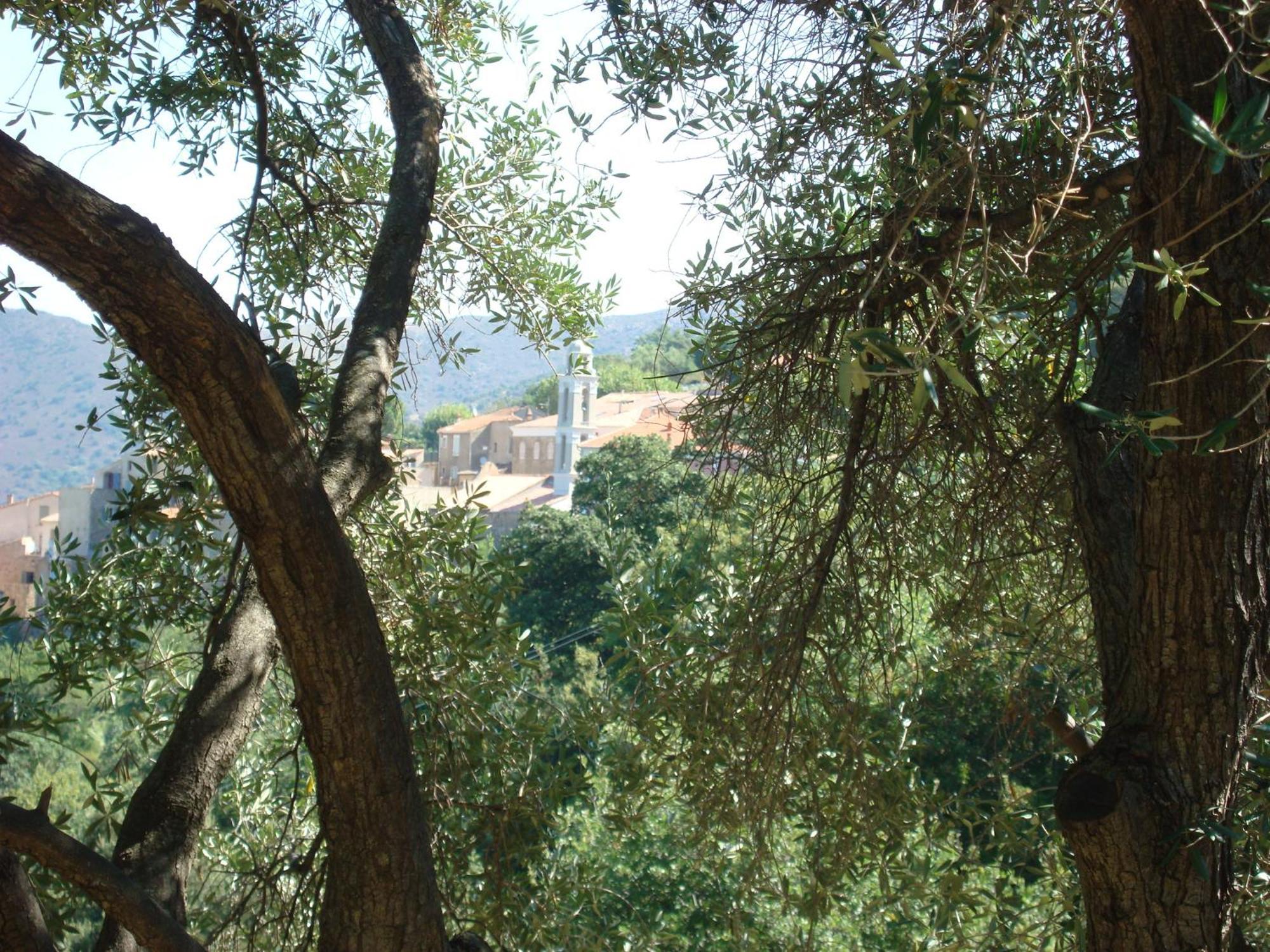 Costa Di Sognu Villa Dış mekan fotoğraf