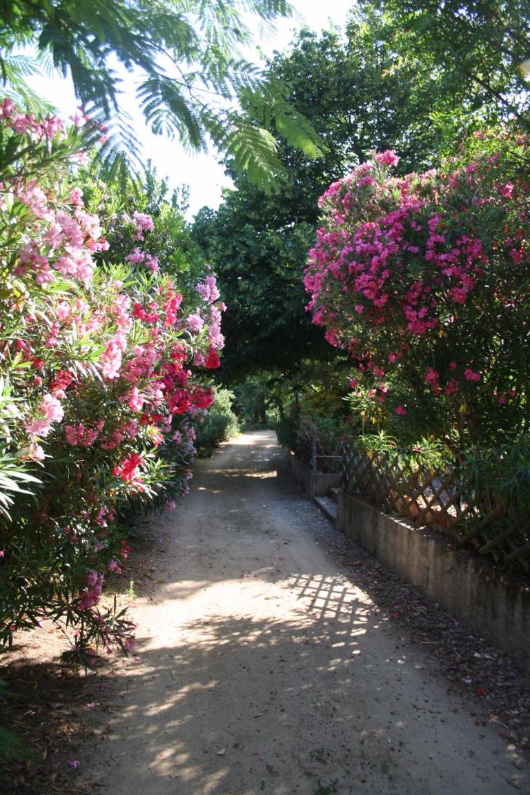 Costa Di Sognu Villa Dış mekan fotoğraf