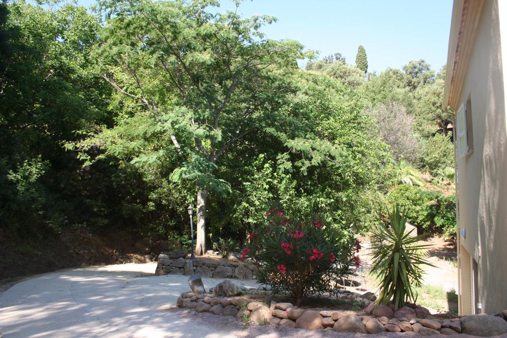 Costa Di Sognu Villa Dış mekan fotoğraf