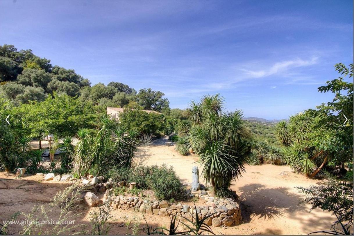 Costa Di Sognu Villa Dış mekan fotoğraf