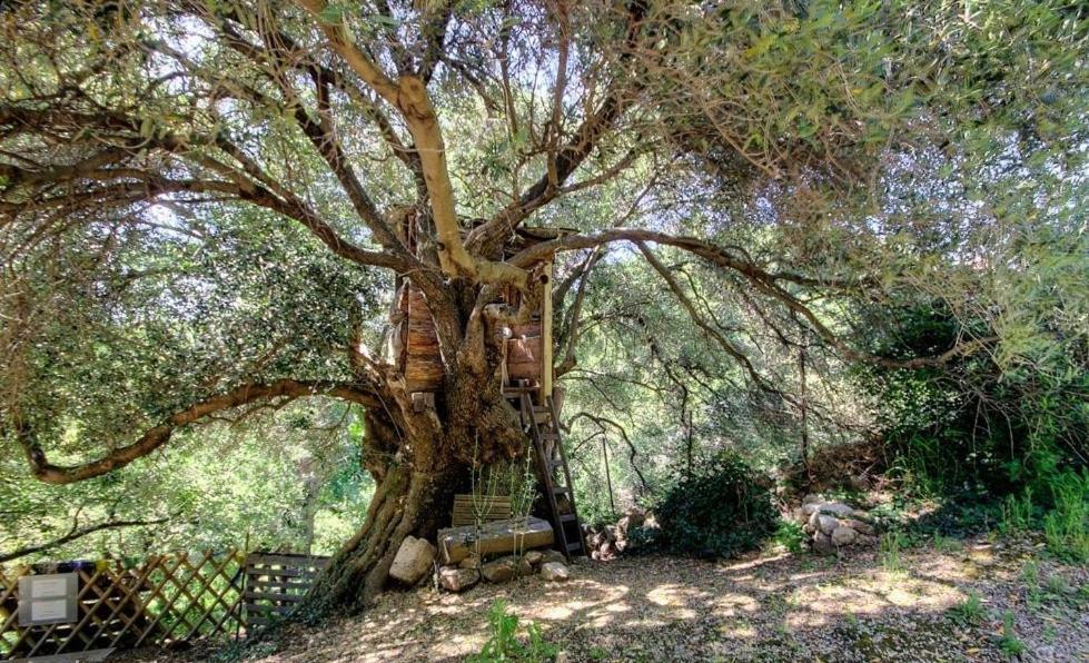 Costa Di Sognu Villa Dış mekan fotoğraf