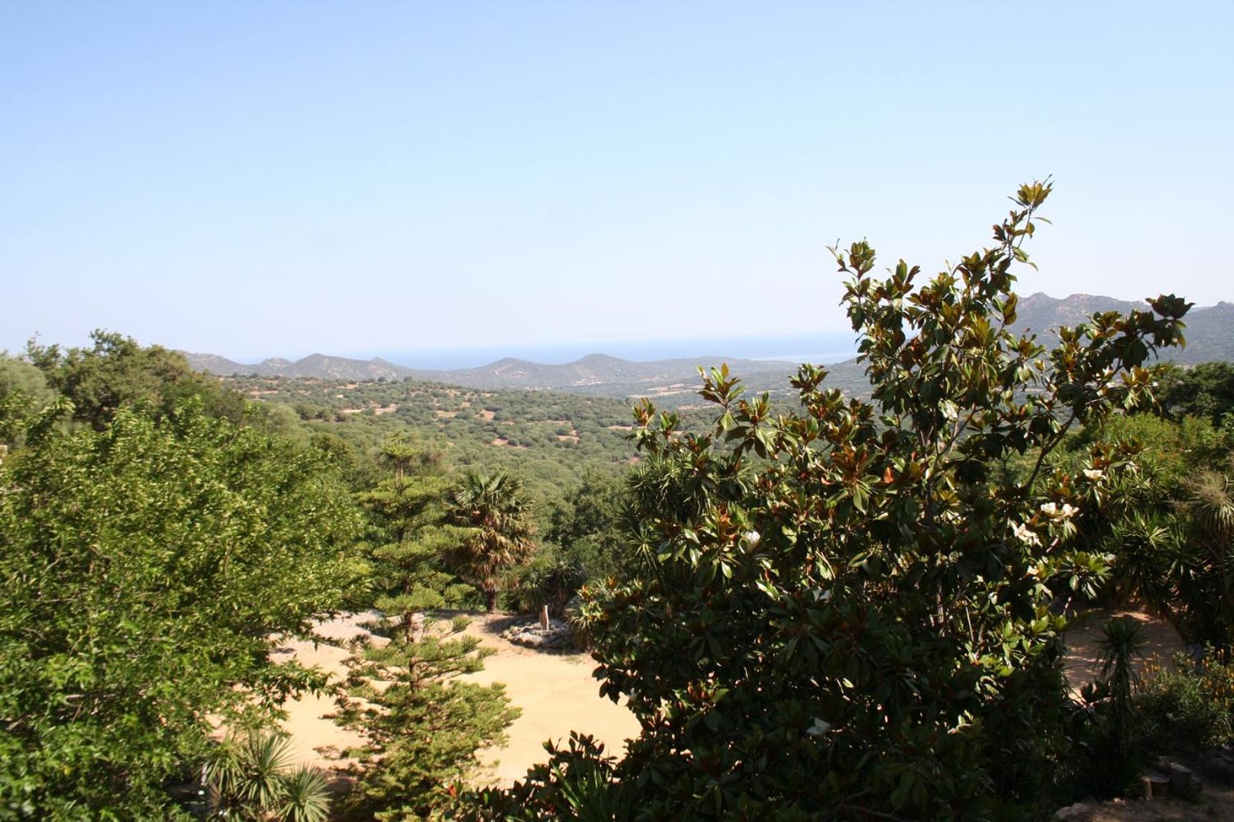 Costa Di Sognu Villa Dış mekan fotoğraf