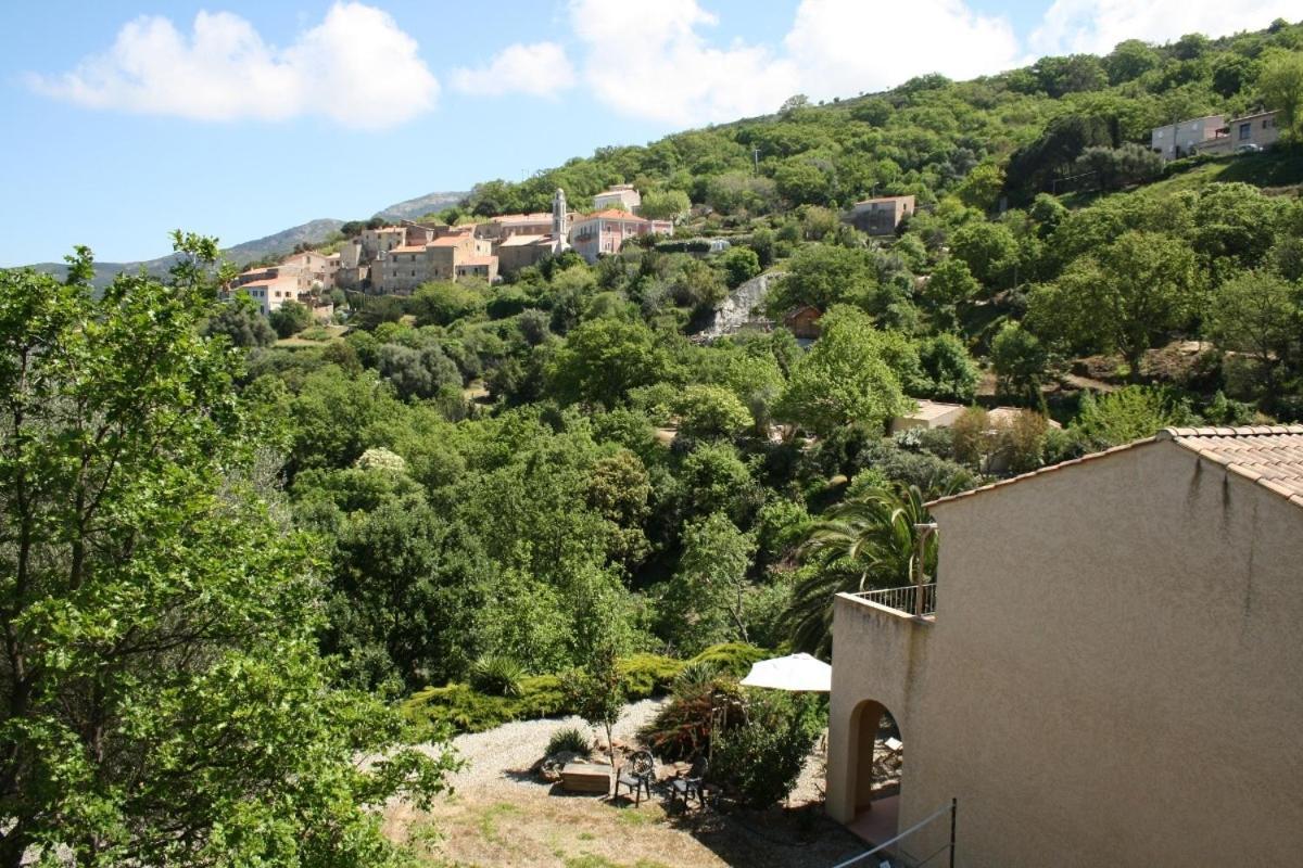 Costa Di Sognu Villa Oda fotoğraf